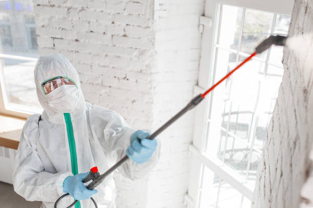 Best Biohazard Mold Removal  in West Lake Hills, TX