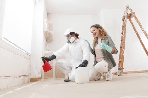 West Lake Hills, TX Mold Removal Company